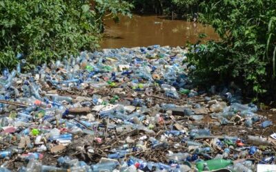 3 oktober 2024: PFAS: Een voetafdruk die blijft